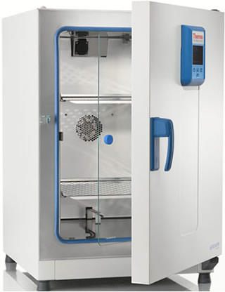 Heratherm* Advanced Dual Convection Incubators from Thermo Fisher Scientific