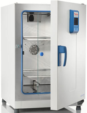 Heratherm* Advanced Security Dual Convection Incubators from Thermo Fisher Scientific