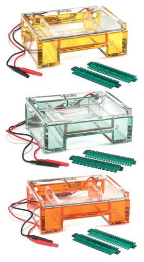 Owl* B2 EasyCast Mini Gel Horizontal Electrophoresis Systems from Thermo Fisher Scientific