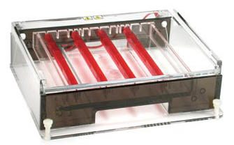 Owl* A6 Wide Gel Horizontal Electrophoresis Systems
