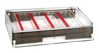 Owl* A3-1 Wide Gel Horizontal Electrophoresis Systems