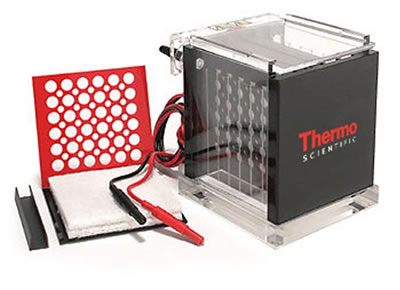 Owl* VEP-2 Mini Tank Electroblotting Systems from Thermo Fisher Scientific